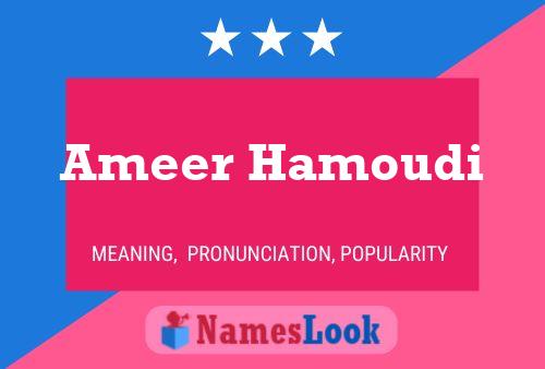 ملصق اسم Ameer Hamoudi