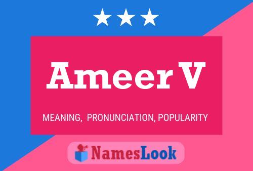 ملصق اسم Ameer V