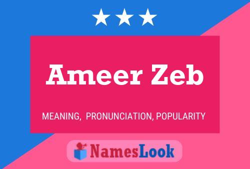 ملصق اسم Ameer Zeb