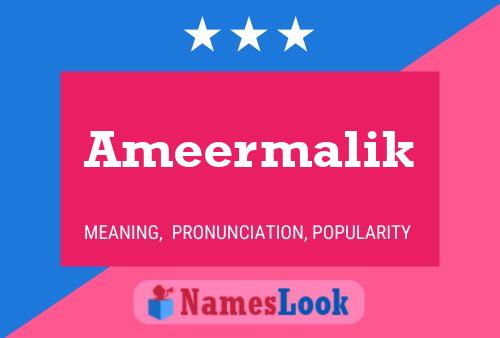 ملصق اسم Ameermalik