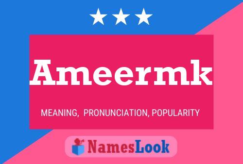 ملصق اسم Ameermk