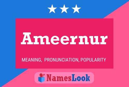 ملصق اسم Ameernur