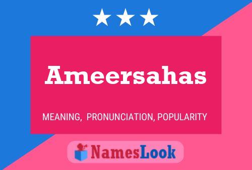 ملصق اسم Ameersahas