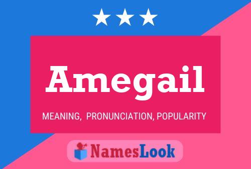 ملصق اسم Amegail