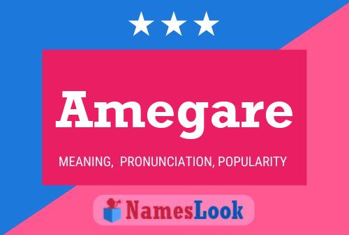 ملصق اسم Amegare