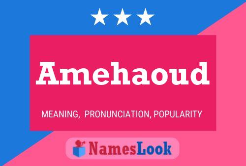 ملصق اسم Amehaoud