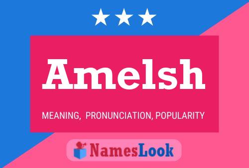 ملصق اسم Amelsh