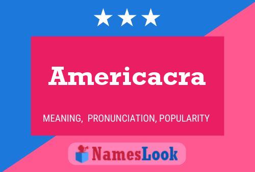 ملصق اسم Americacra