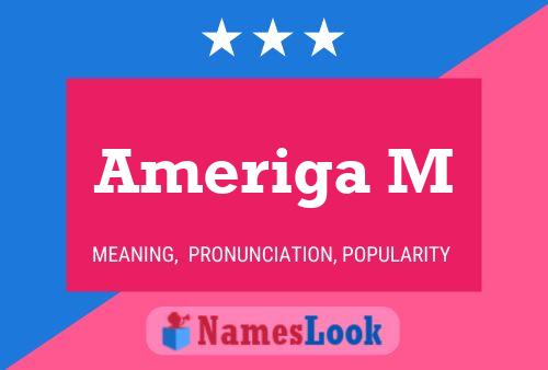 ملصق اسم Ameriga M