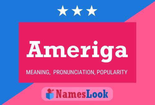 ملصق اسم Ameriga