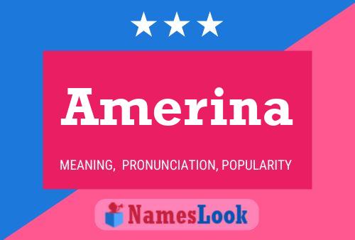 ملصق اسم Amerina