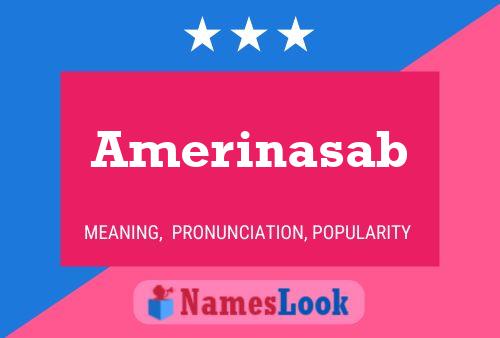 ملصق اسم Amerinasab