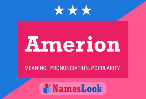 ملصق اسم Amerion