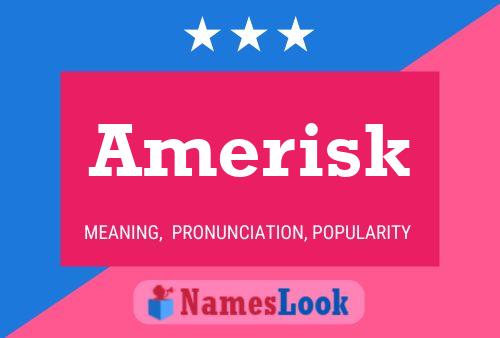 ملصق اسم Amerisk