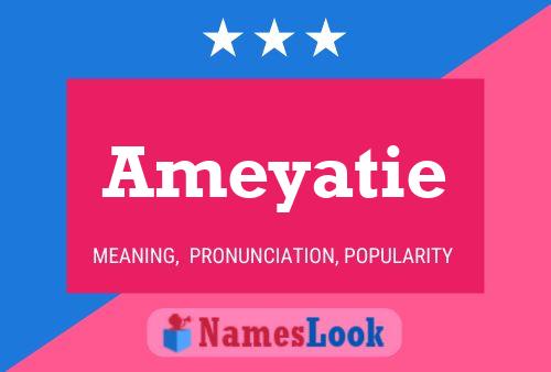 ملصق اسم Ameyatie