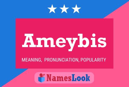 ملصق اسم Ameybis