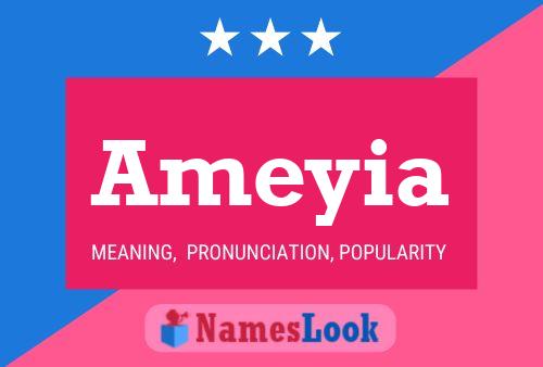 ملصق اسم Ameyia