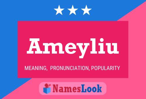 ملصق اسم Ameyliu