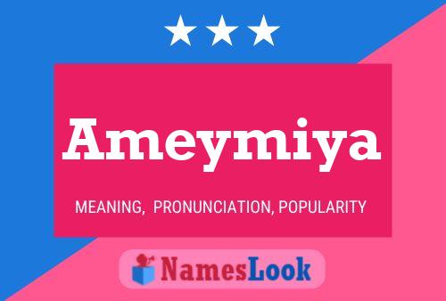 ملصق اسم Ameymiya