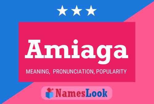 ملصق اسم Amiaga