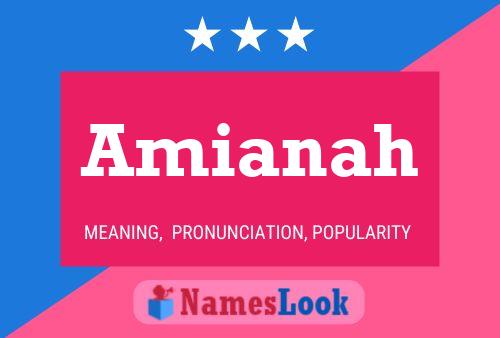 ملصق اسم Amianah