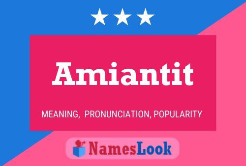 ملصق اسم Amiantit