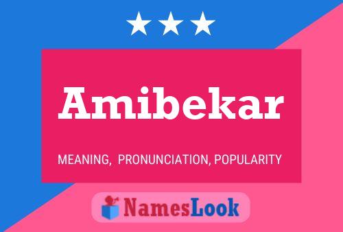 ملصق اسم Amibekar