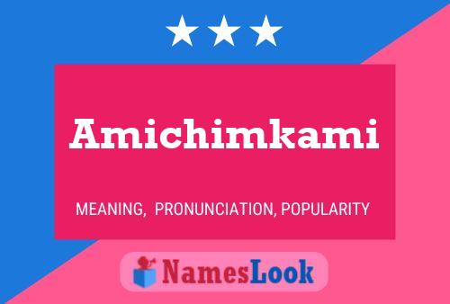 ملصق اسم Amichimkami