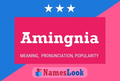 ملصق اسم Amingnia