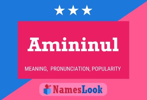 ملصق اسم Amininul