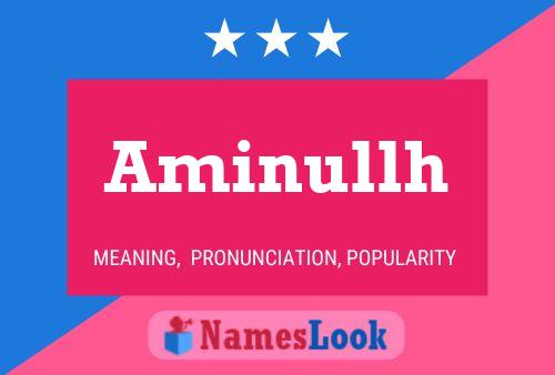 ملصق اسم Aminullh