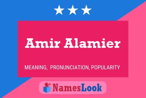 ملصق اسم Amir Alamier