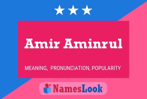 ملصق اسم Amir Aminrul