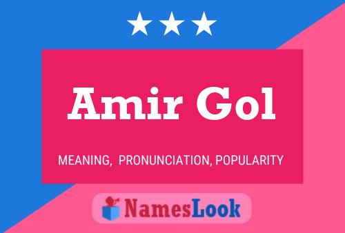 ملصق اسم Amir Gol