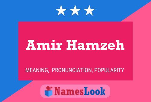 ملصق اسم Amir Hamzeh