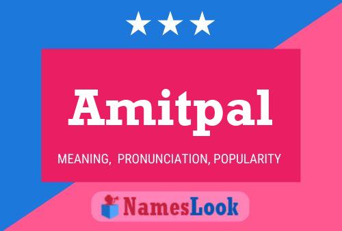 ملصق اسم Amitpal