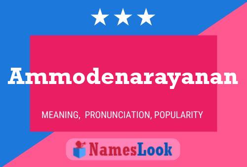 ملصق اسم Ammodenarayanan