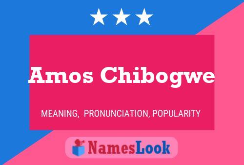 ملصق اسم Amos Chibogwe