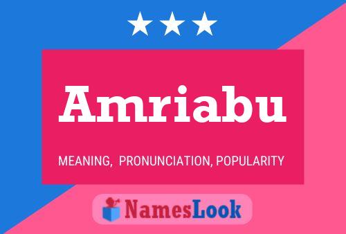 ملصق اسم Amriabu