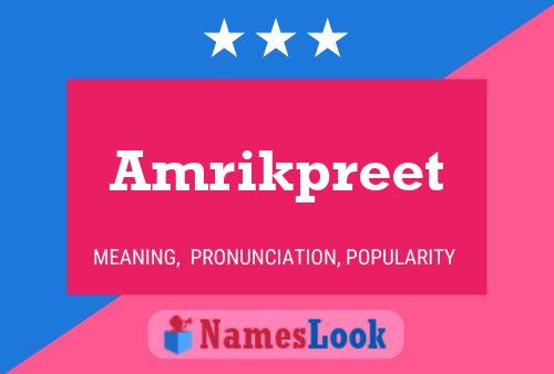 ملصق اسم Amrikpreet