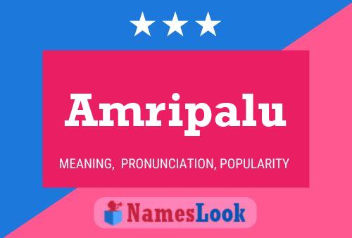 ملصق اسم Amripalu