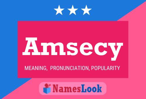 ملصق اسم Amsecy