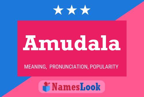 ملصق اسم Amudala