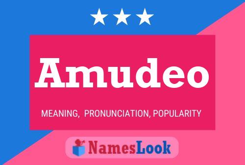 ملصق اسم Amudeo