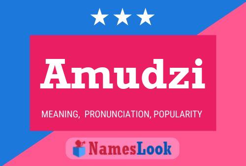 ملصق اسم Amudzi