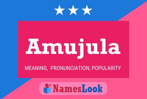 ملصق اسم Amujula