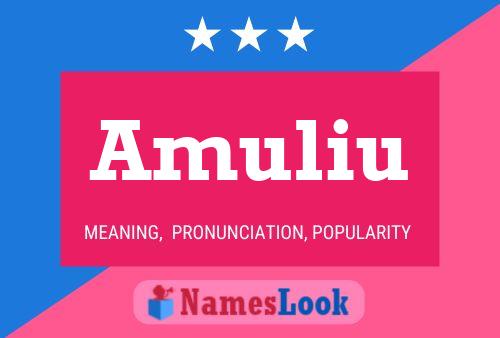 ملصق اسم Amuliu