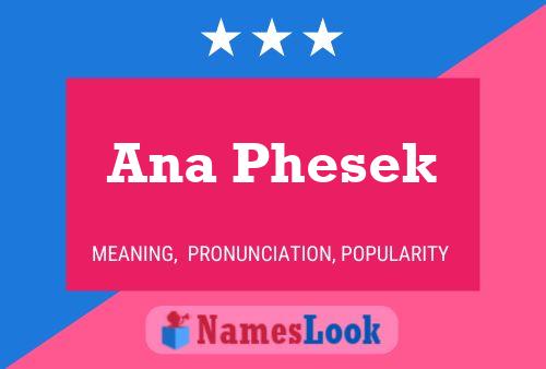 ملصق اسم Ana Phesek