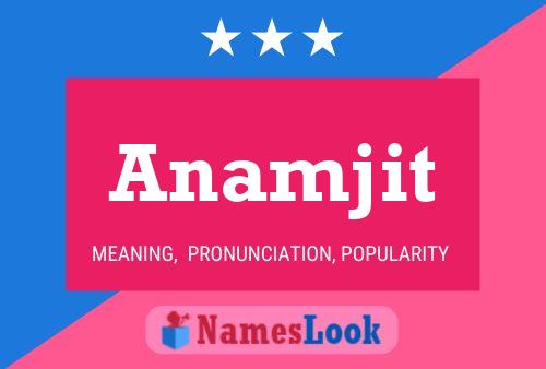 ملصق اسم Anamjit