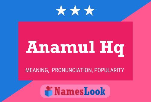 ملصق اسم Anamul Hq